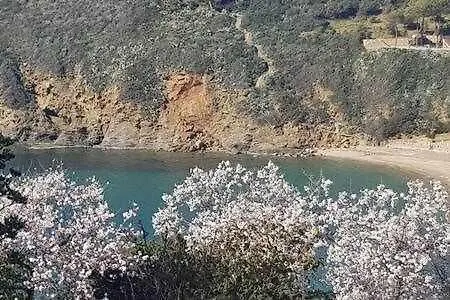 Appartement A Picco Sul Mare 